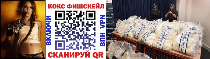 Кокаин Fish Scale  Купить закладки  Томилино 