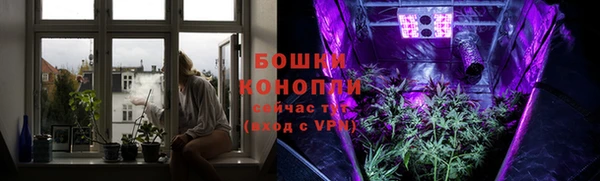 spice Рославль