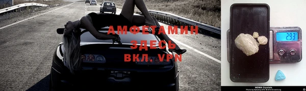 шишки Приозерск