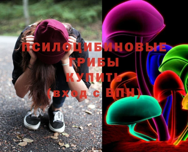 шишки Приозерск