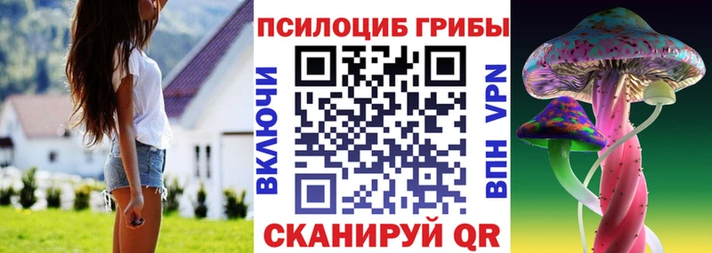 Купить закладки  Томилино  Псилоцибиновые грибы мицелий 